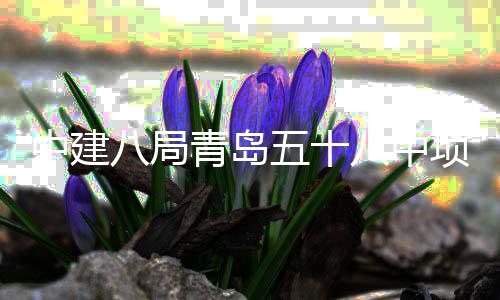 青岛全部项目五十中建主体八局八中封顶